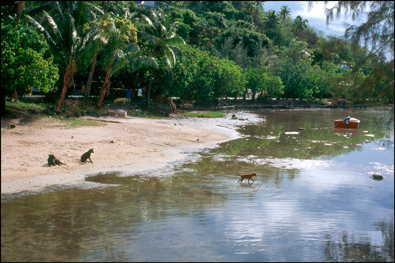 Bora Bora Photo 05